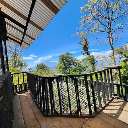 Villa Laurel Antigua Ngoại thất bức ảnh